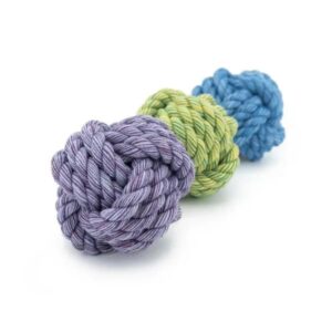 reb bold hundelegetøj